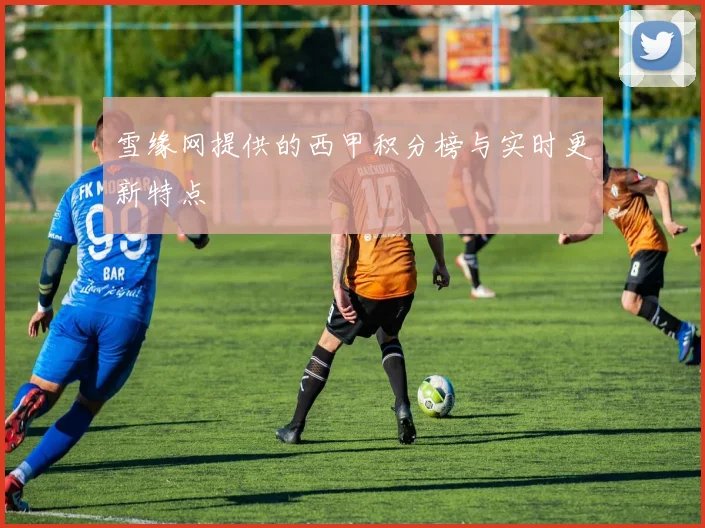 雪缘网提供的西甲积分榜与实时更新特点