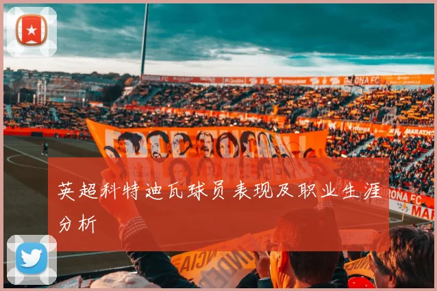 英超科特迪瓦球员表现及职业生涯分析